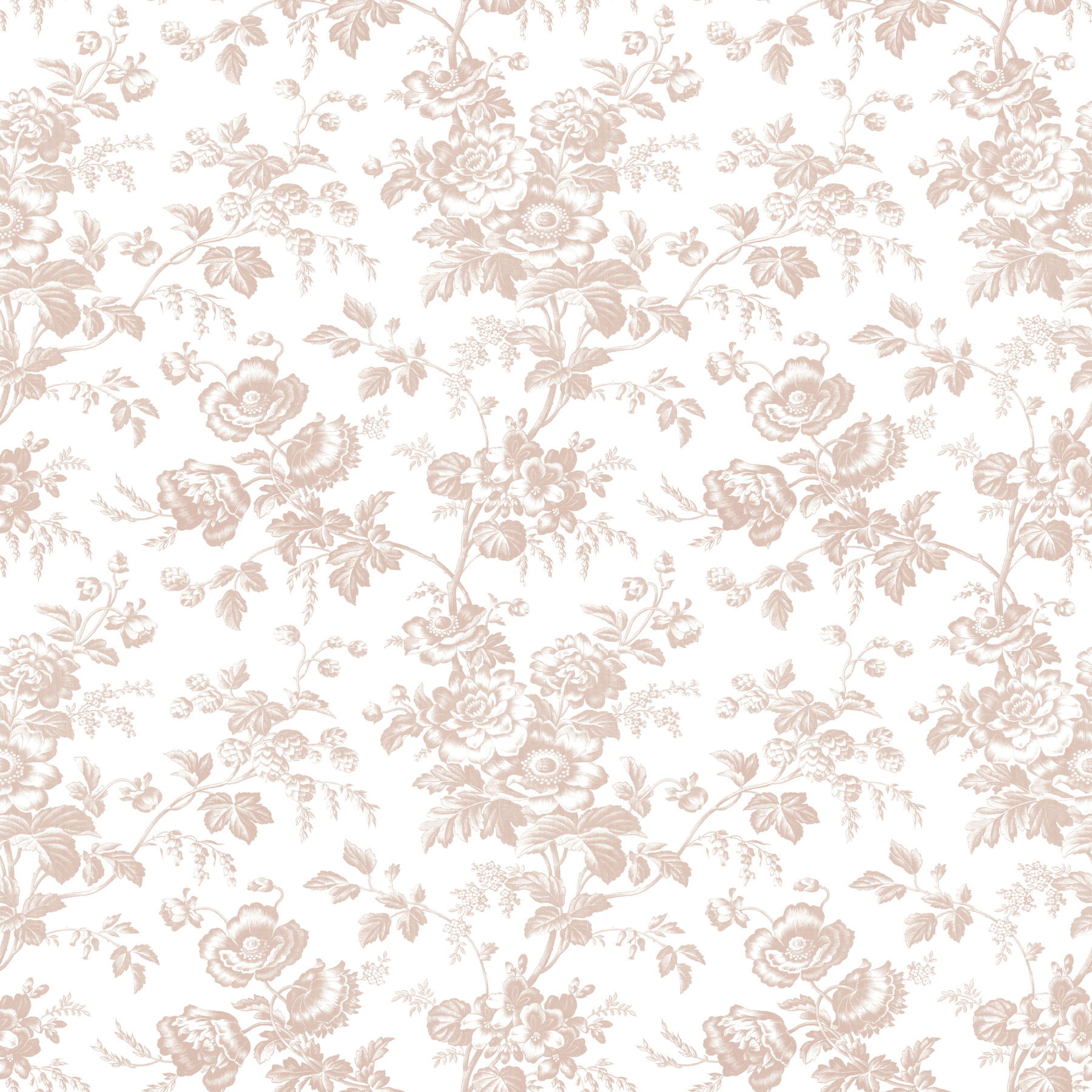 Anemone Toile Blush Wallpaper large image 