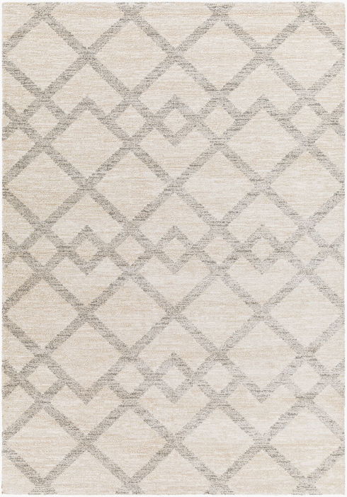 Gavic Machine Woven Rug