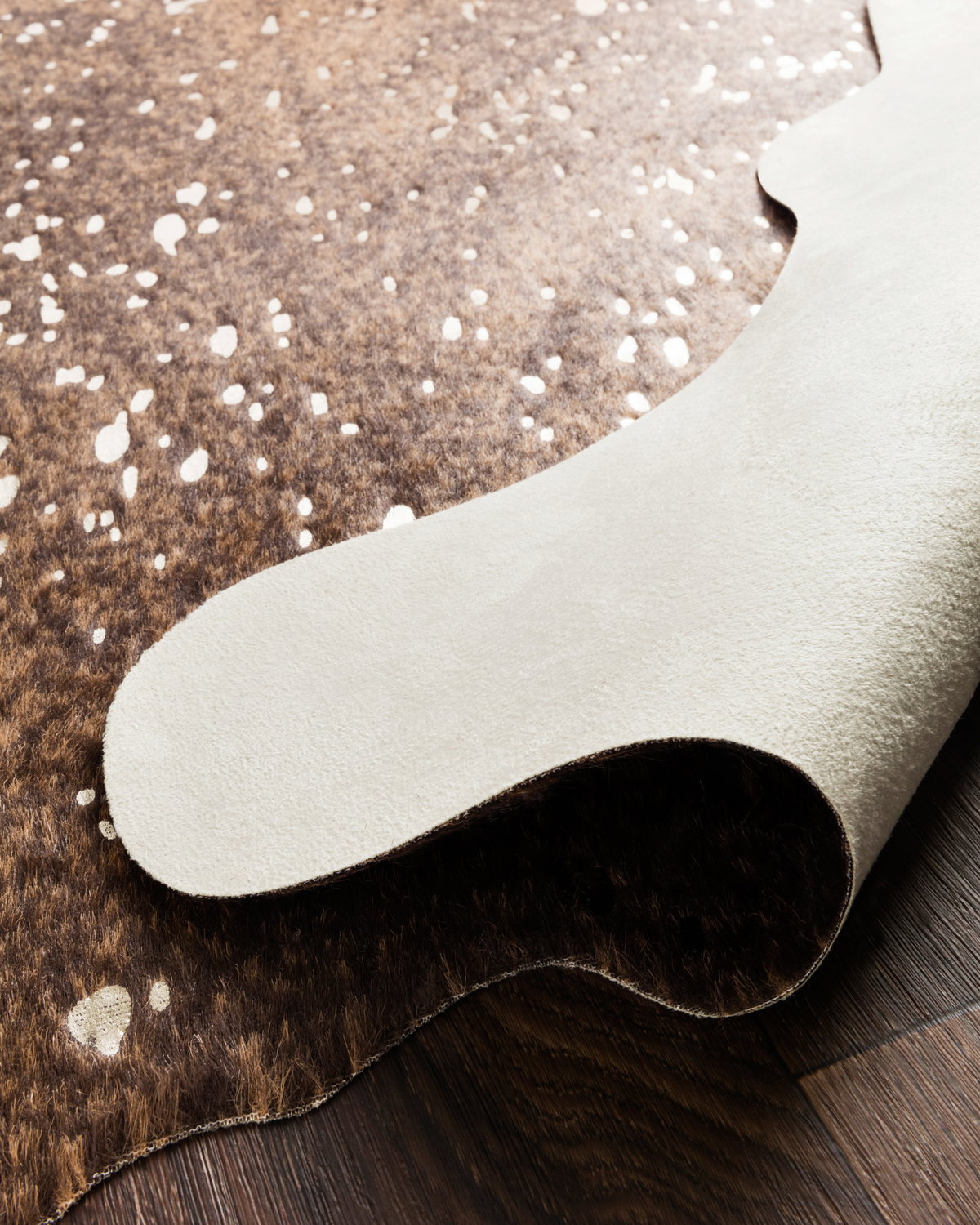 Loloi Bryce Rug, 6'2" length x 8' width View 6