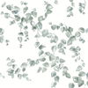 Creeping Fig Vine Sage Wallpaper thumbnail 0
