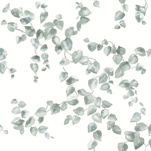 Creeping Fig Vine Sage Wallpaper