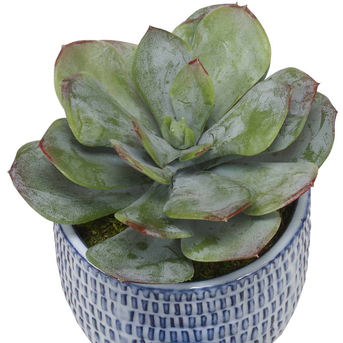 Puebla Greenery In Blue & White Pots Set/3, Artificial Plants & Flower by Uttermost, 22" width x 16" height x 22" depth View 3