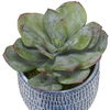 Puebla Greenery In Blue & White Pots Set/3, Decorative by Uttermost, 22" width x 16" height x 22" depth thumbnail 3