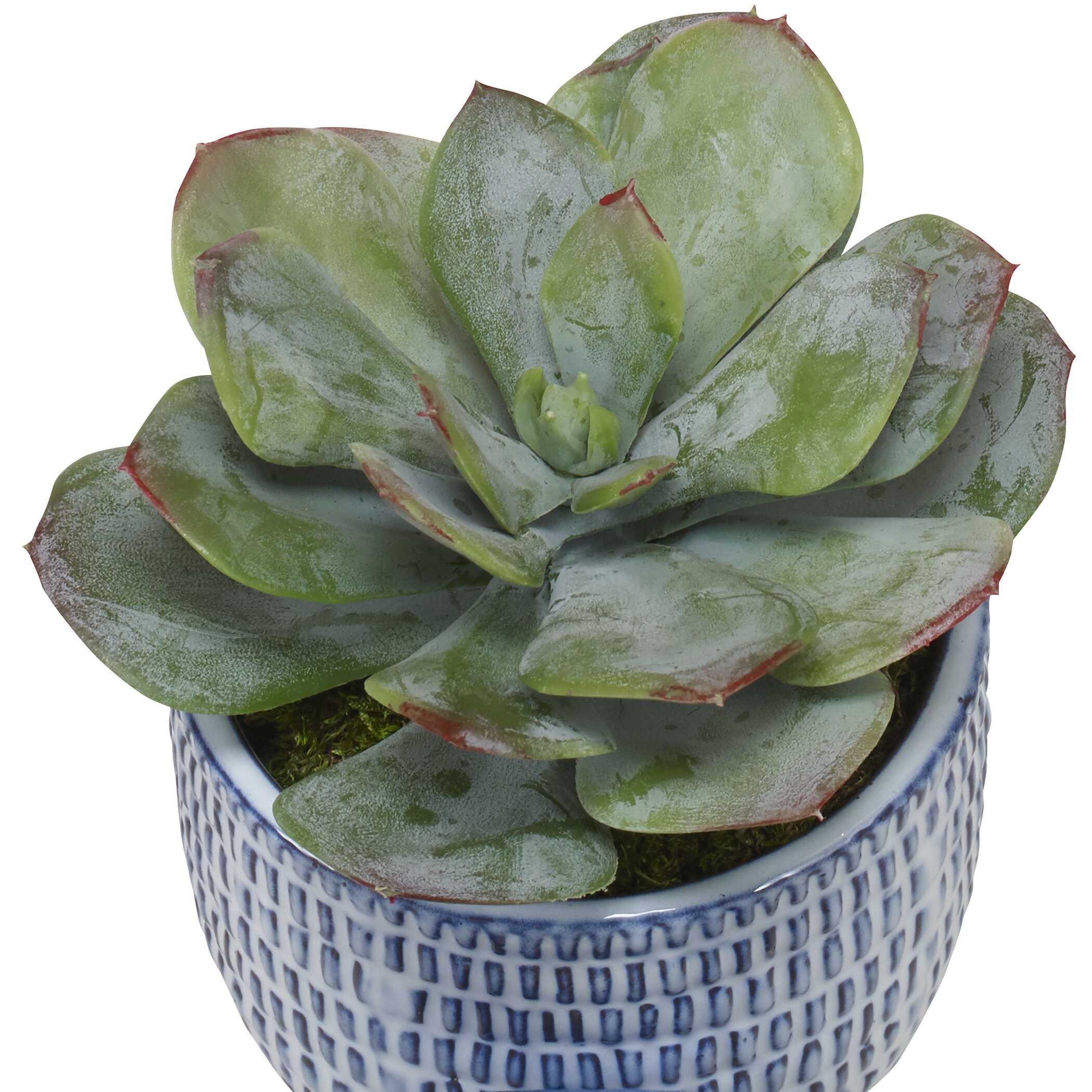 Puebla Greenery In Blue & White Pots Set/3 large image 