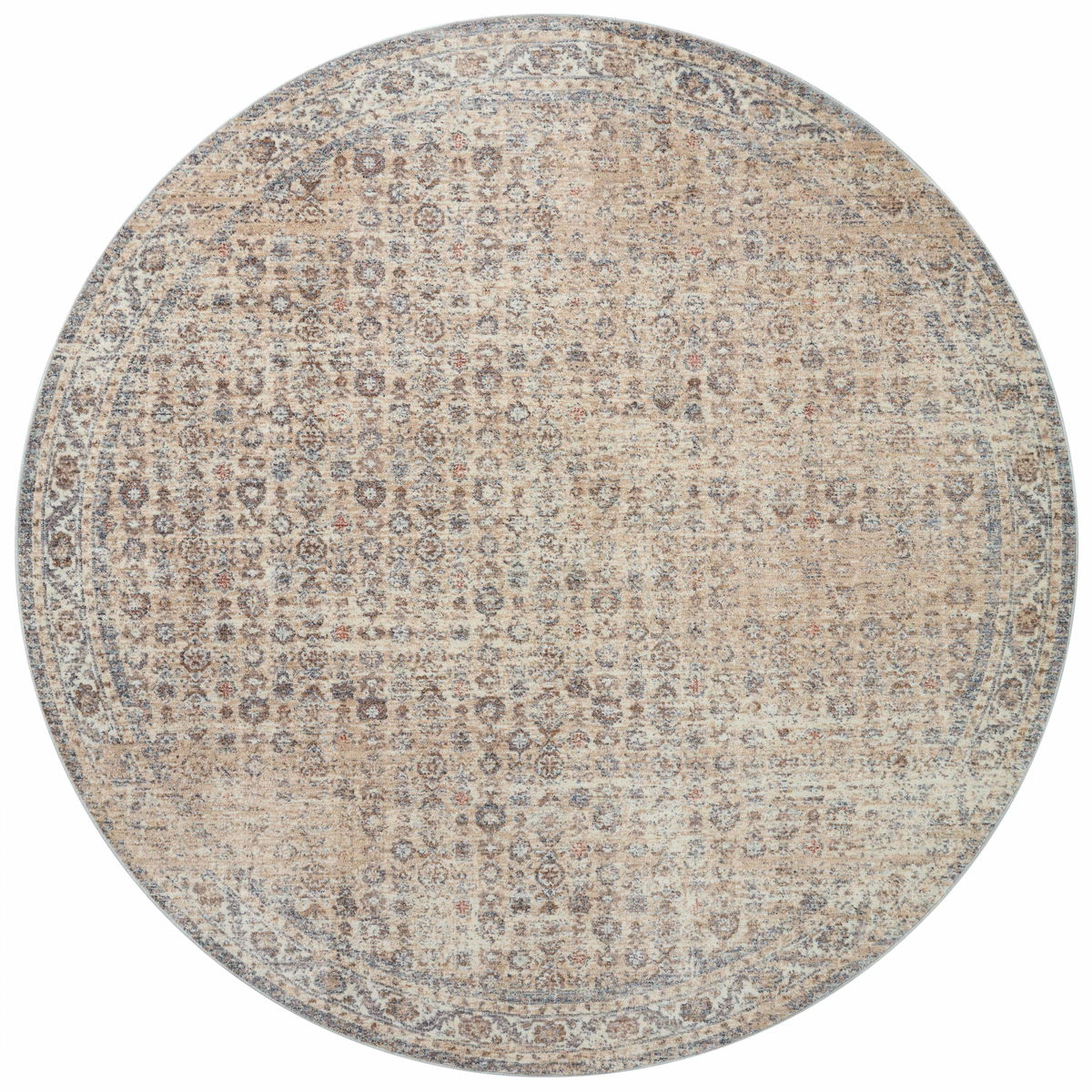 Angela Rose x Loloi Blake Rug, 5'3" length x 5'3" width View 6