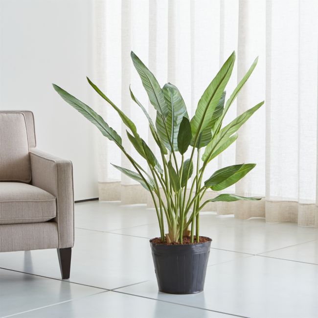 Online Designer Living Room Faux Bird of Paradise Tree