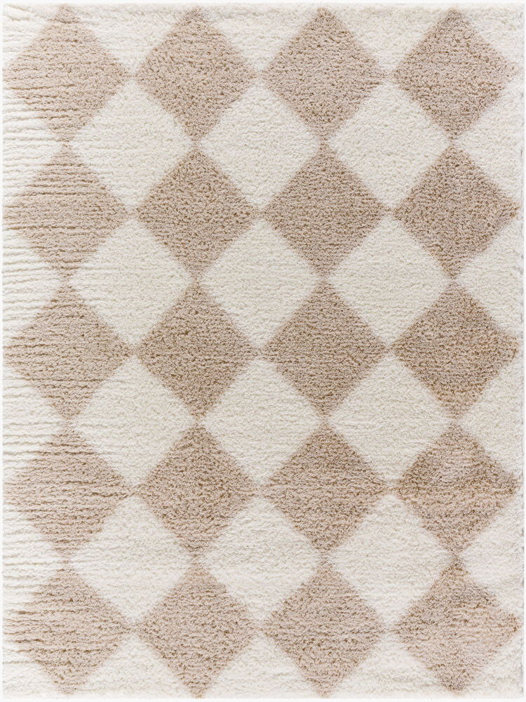 Cloudy Shag Machine Woven Rug, by Surya, 9'0.27" length x 6'6.74" width