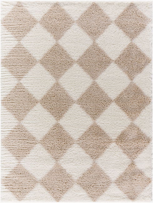 Cloudy Shag Machine Woven Rug