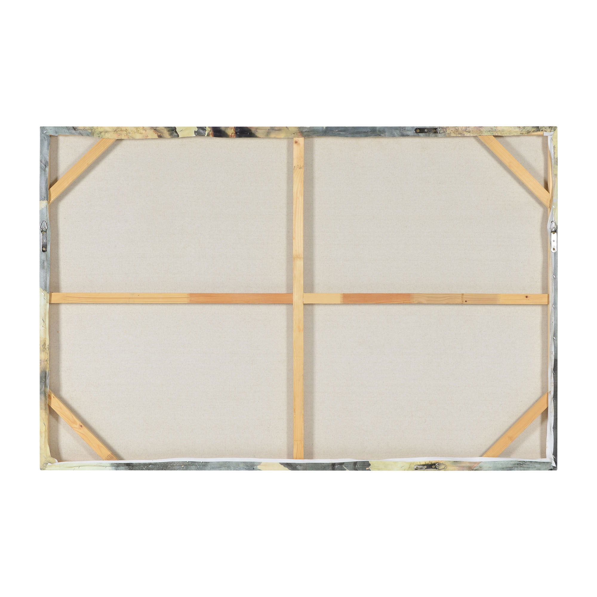 Nevado Canvas Art large image 