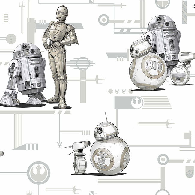 Star Wars: The Rise of Skywalker, Droids! Black & White Wallpaper large image 