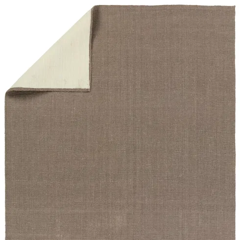 Alyster Natural Solid Taupe Area Rug (8