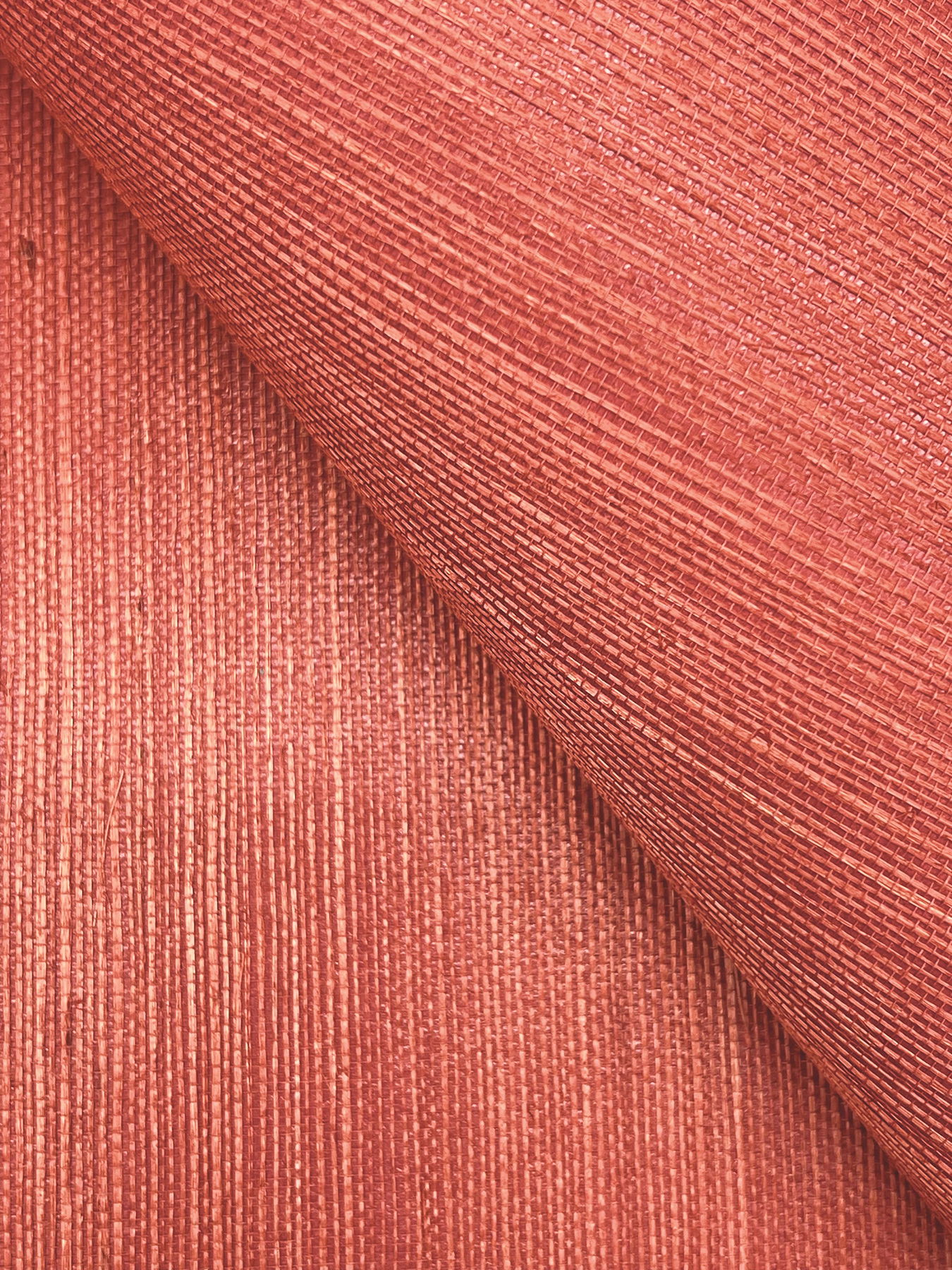 Maguey Sisal Rhubarb Wallpaper large image 