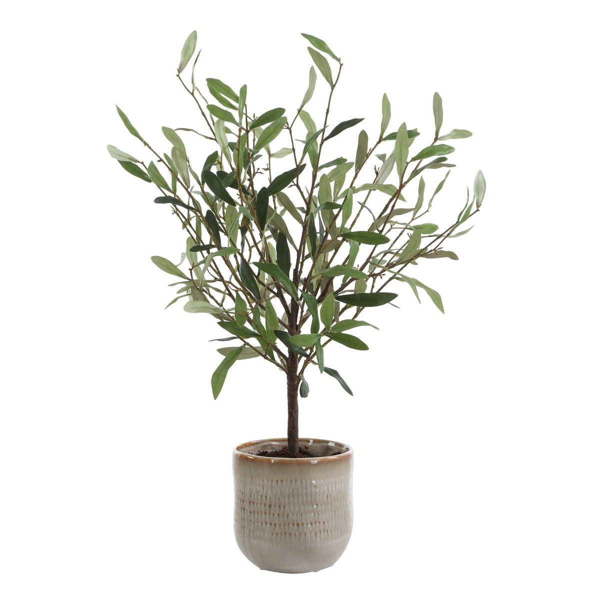 Solea Olive Accent & Textured Vase, Artificial Plants & Flower by Uttermost, 17.75" width x 22.75" height x 13.5" depth View 1