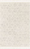 Nora Machine Woven Rug, by Surya, 10'0.08" length x 7'10.49" width thumbnail