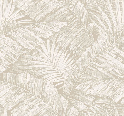 Palm Cove Toile White & Taupe Wallpaper