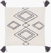 Braith Accent Pillow, Decorative Pillow by Surya, 18" length x 18" width thumbnail