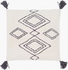 Braith Accent Pillow thumbnail 0