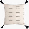 Eden Accent Pillow, Decorative Pillow by Surya, 20" length x 20" width thumbnail