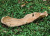 Teak Leaf Bowl, Decorative Tray by Uttermost, 26.75" width x 4.75" height x 9.75" depth thumbnail 4