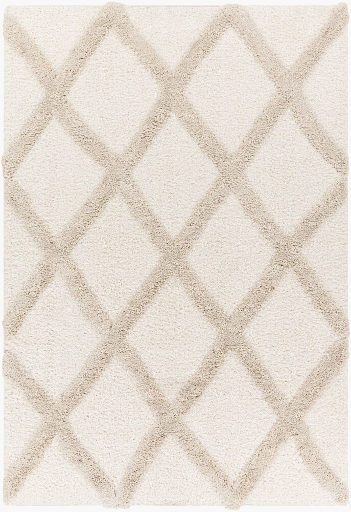 Hudson Shag Machine Woven Rug large image 
