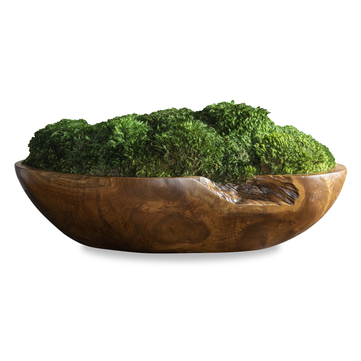 Kinsale Moss Centerpiece, Artificial Plants & Flower by Uttermost, 19" width x 7" height x 9" depth View 1