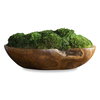 Kinsale Moss Centerpiece, Artificial Plants & Flower by Uttermost, 19" width x 7" height x 9" depth thumbnail 1