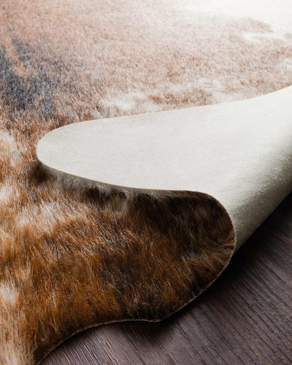 Loloi Grand Canyon Rug, 3'10" length x 5' width View 6