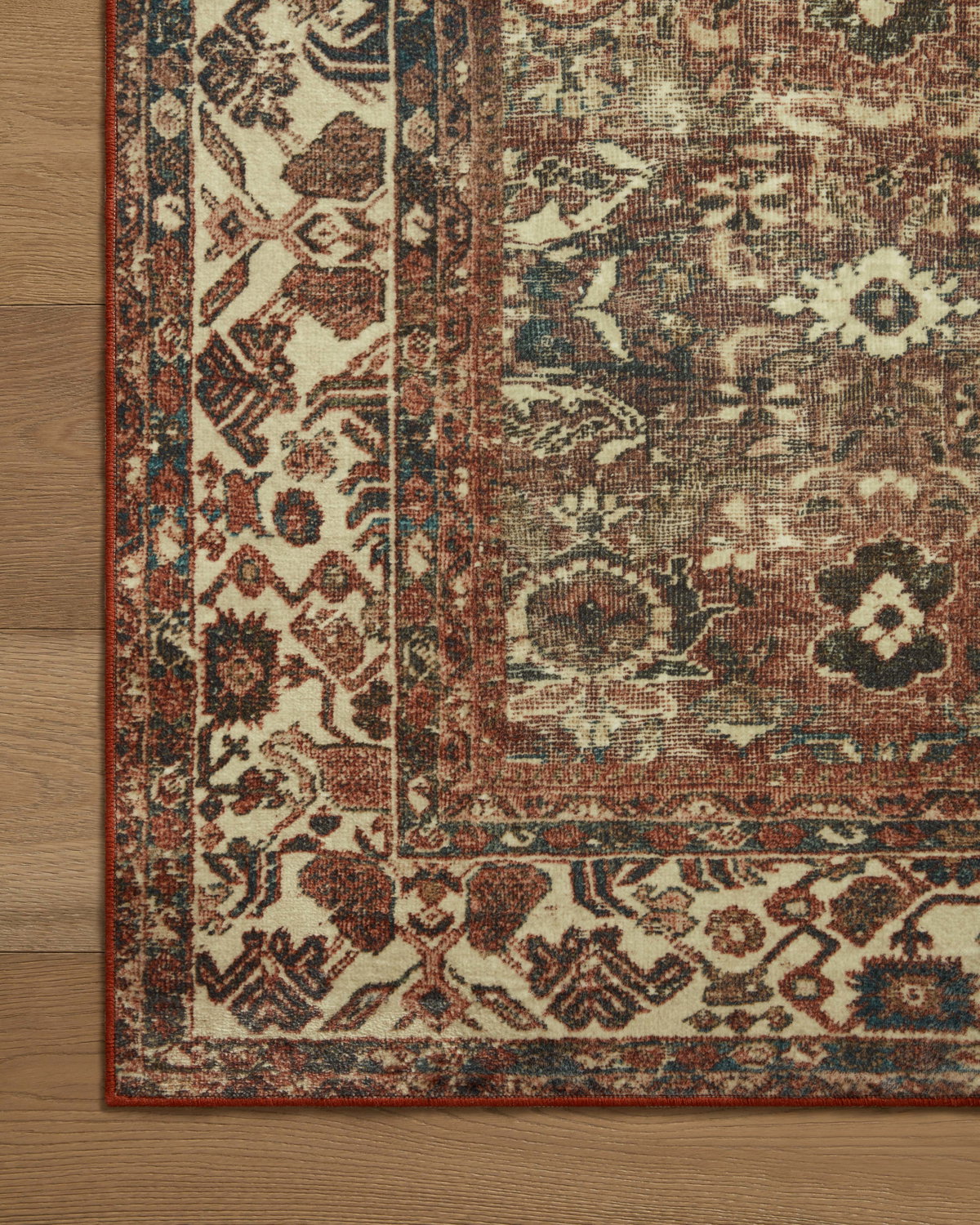 Magnolia Home by Joanna Gaines x Loloi Banks Rug, 2'6" length x 7'6" width View 9