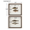 The Catch Framed Fish Prints Set/2, Painting by Uttermost, 20.5" width x 18.25" height x 1.75" depth thumbnail 3