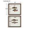 The Catch Framed Fish Prints Set/2, by Uttermost, 1'8.5" width x 1'6.25" height x 1.75" depth thumbnail 3