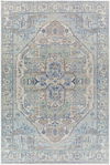 Rafetus Machine Woven Rug thumbnail 0