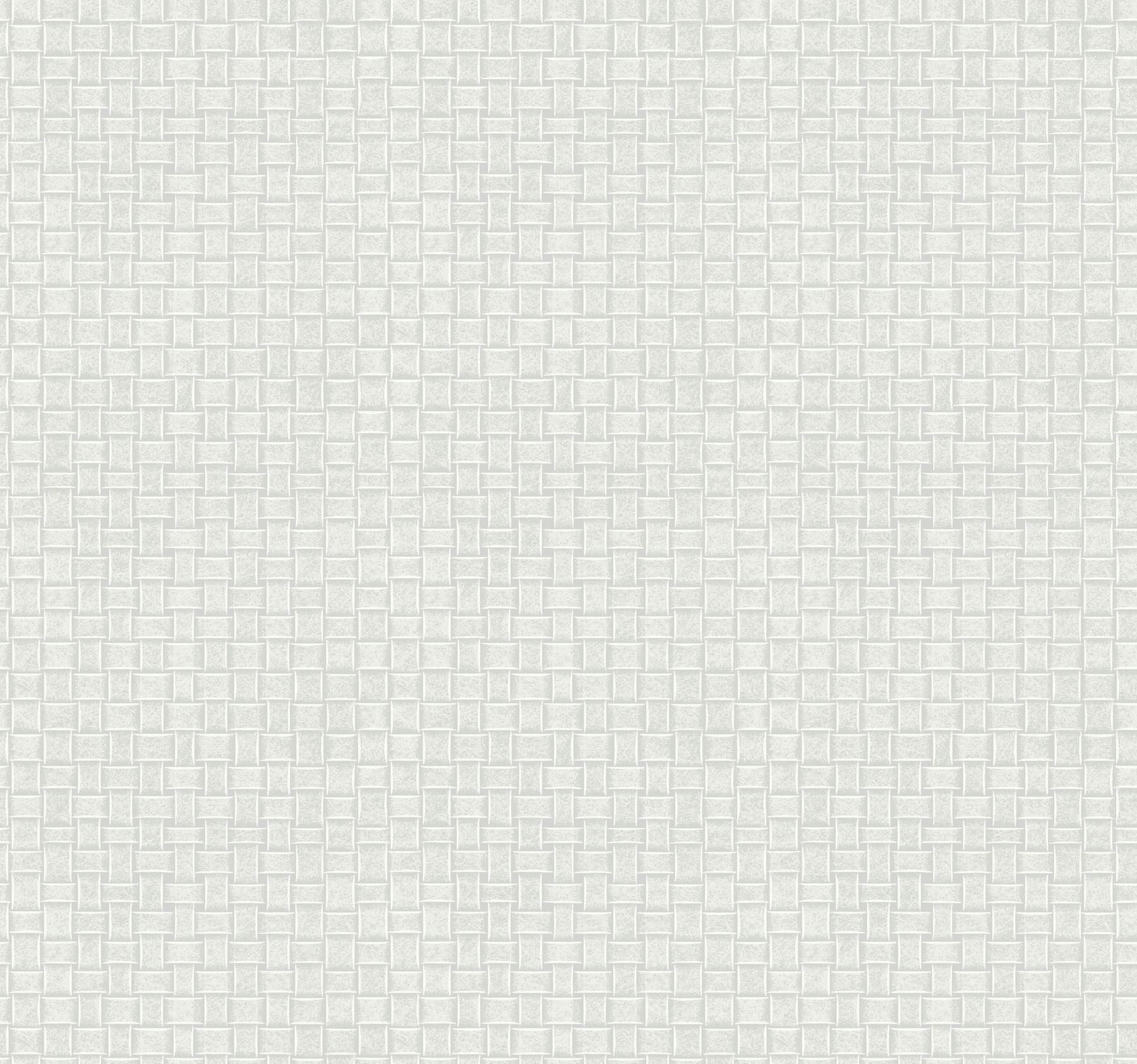 Paradise Island Weave Light Grey Wallpaper large image 