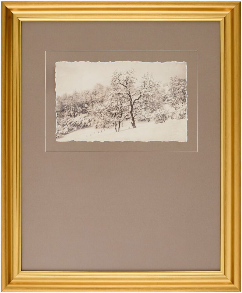 Coconino Framed Art, Painting by Surya, 19" width x 23" height