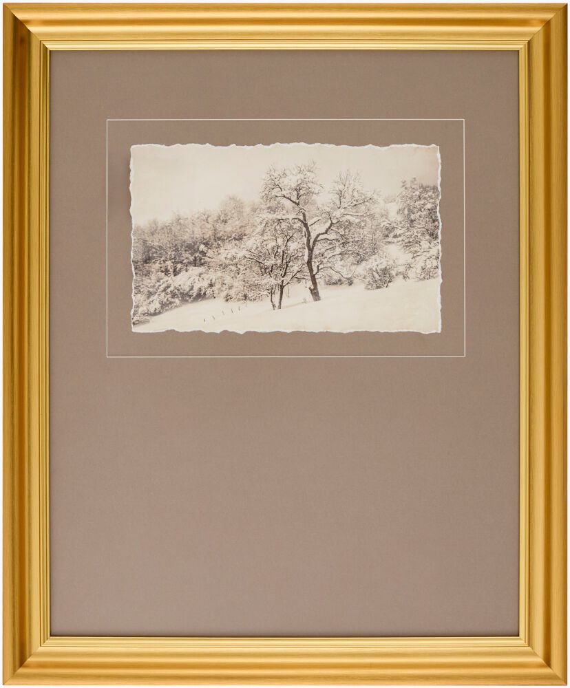 Coconino Framed Art, Painting by Surya, 19" width x 23" height