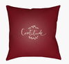 Gratitude Accent Pillow, Decorative Pillow by Surya, 18" length x 18" width thumbnail