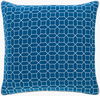 Fenna Accent Pillow, Decorative Pillow by Surya, 22" length x 22" width thumbnail