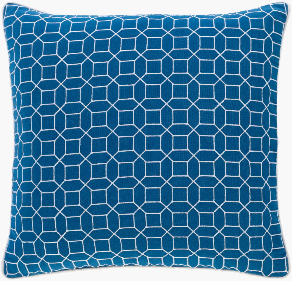 Fenna Accent Pillow, Decorative Pillow by Surya, 22" length x 22" width