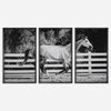 Galloping Forward Equine Prints, Set/3 thumbnail 0