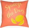 Summer Accent Pillow, Decorative Pillow by Surya, 20" length x 20" width thumbnail