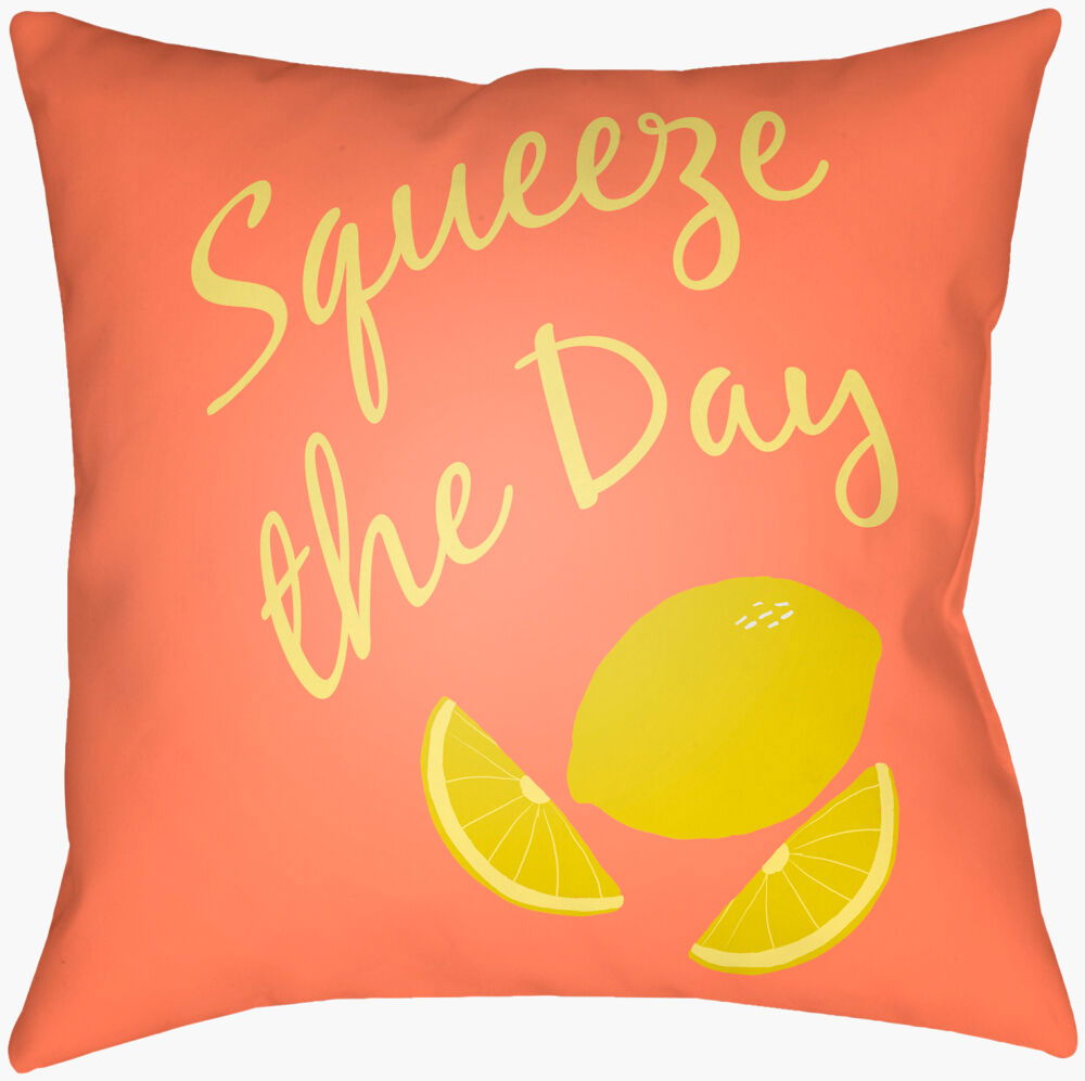 Summer Accent Pillow, Decorative Pillow by Surya, 20" length x 20" width