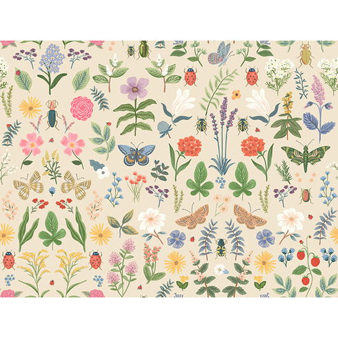 Curio Cream Peel & Stick Wallpaper