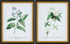 Midsummer Framed Art, Painting by Surya, 14" width x 18" height thumbnail