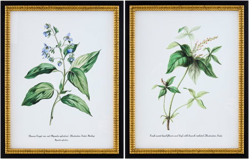 Midsummer Framed Art