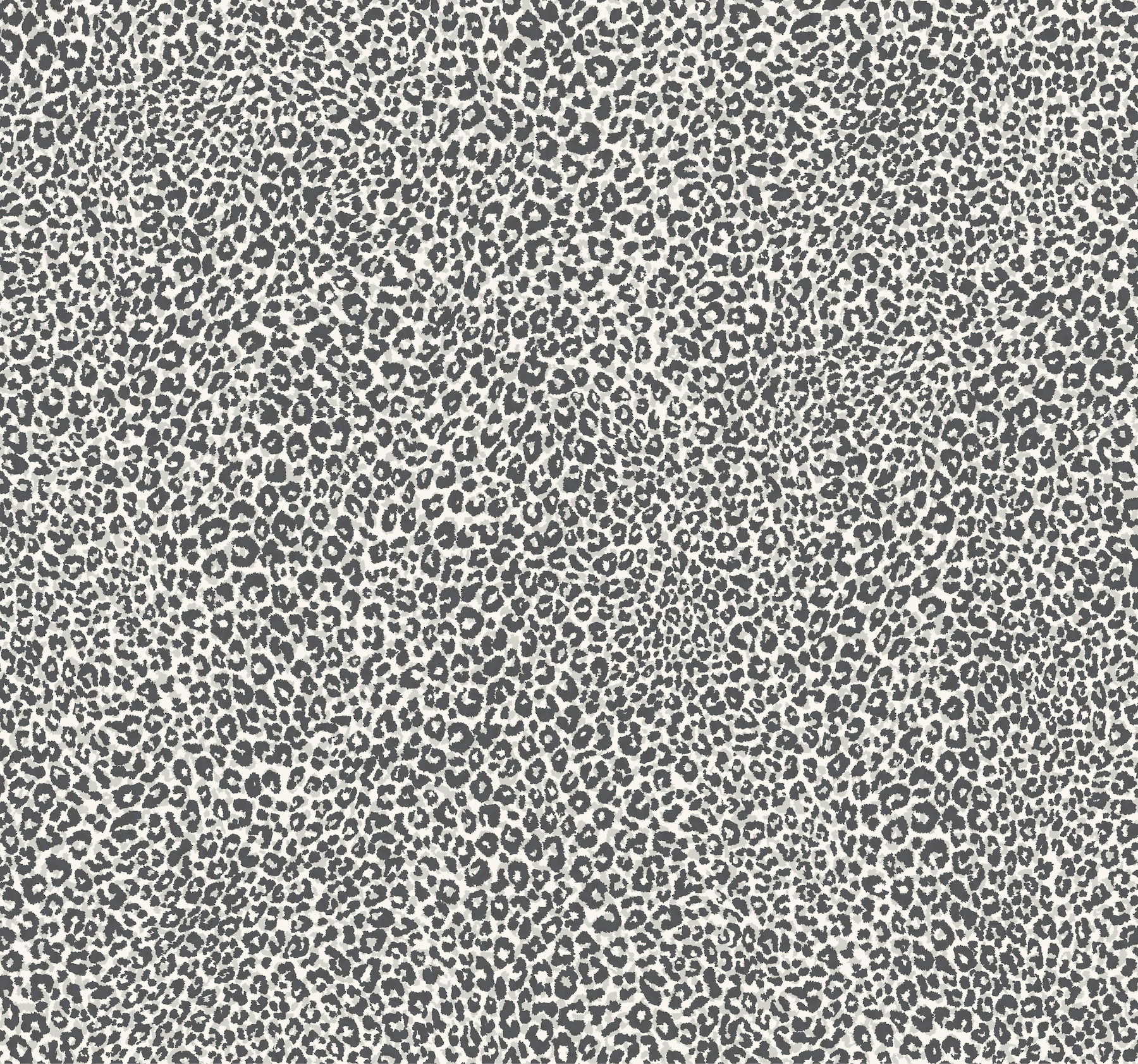 Leopard King Charcoal Wallpaper large image 