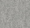 Leopard King Charcoal Wallpaper thumbnail 0