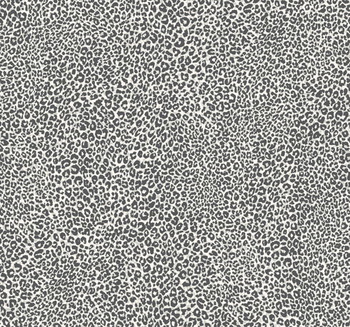 Leopard King Charcoal Wallpaper