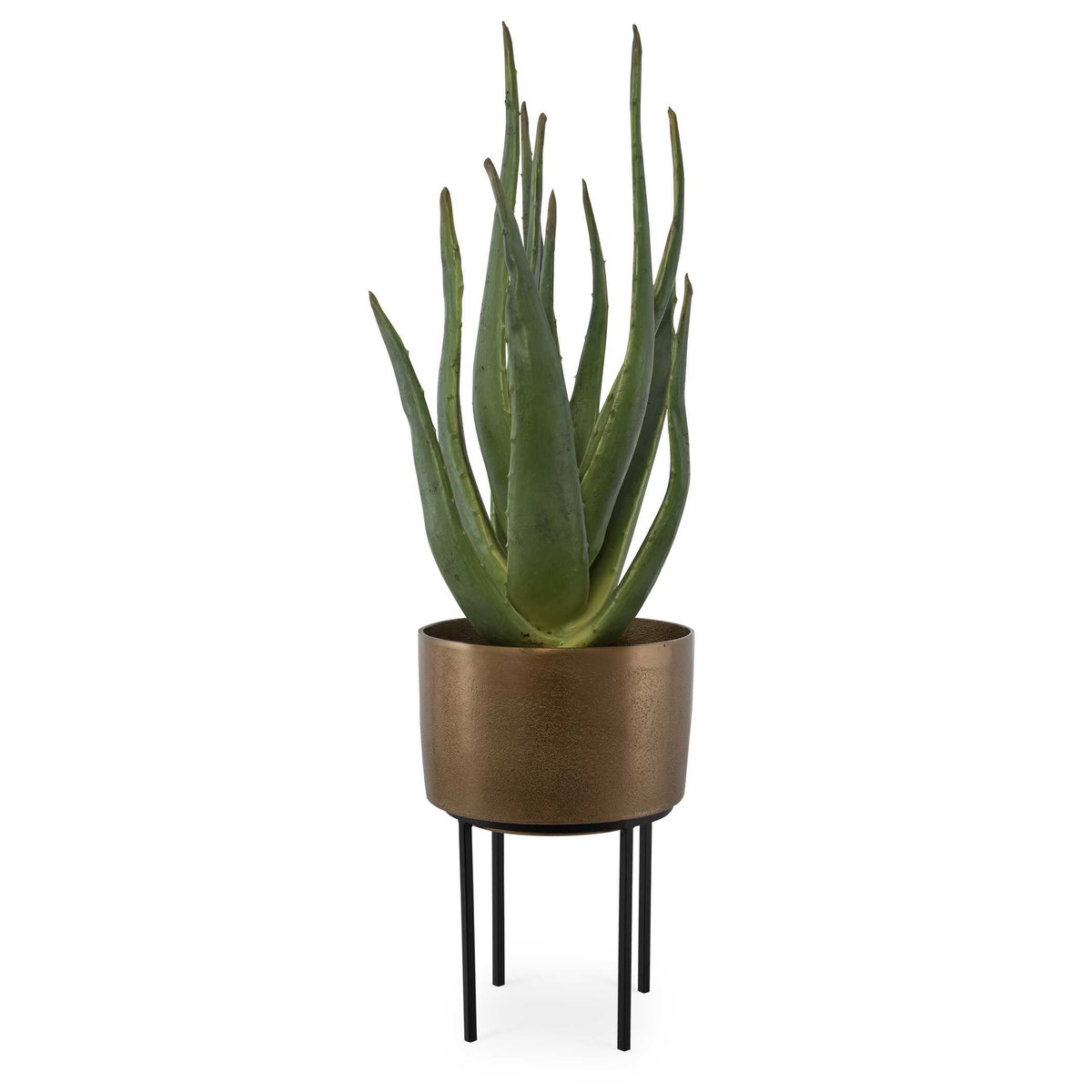 Arabia Aloe Planter, Artificial Plants & Flower by Uttermost, 19.7" width x 37" height x 19.7" depth View 1