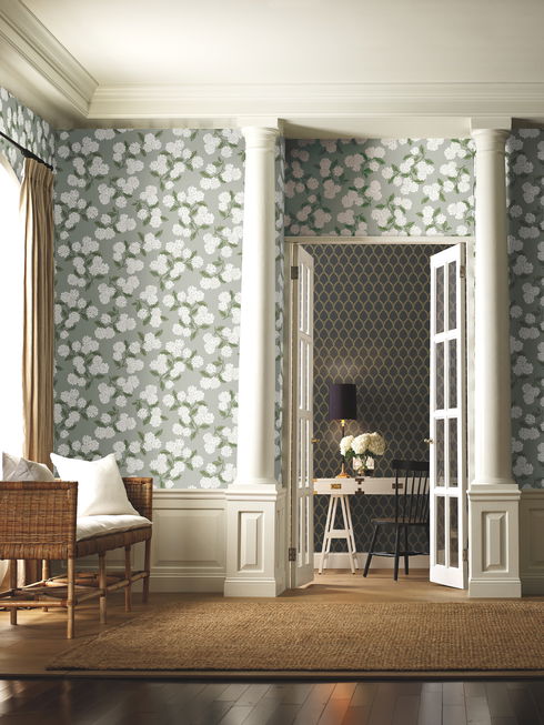 Hydrangea Grey Wallpaper
