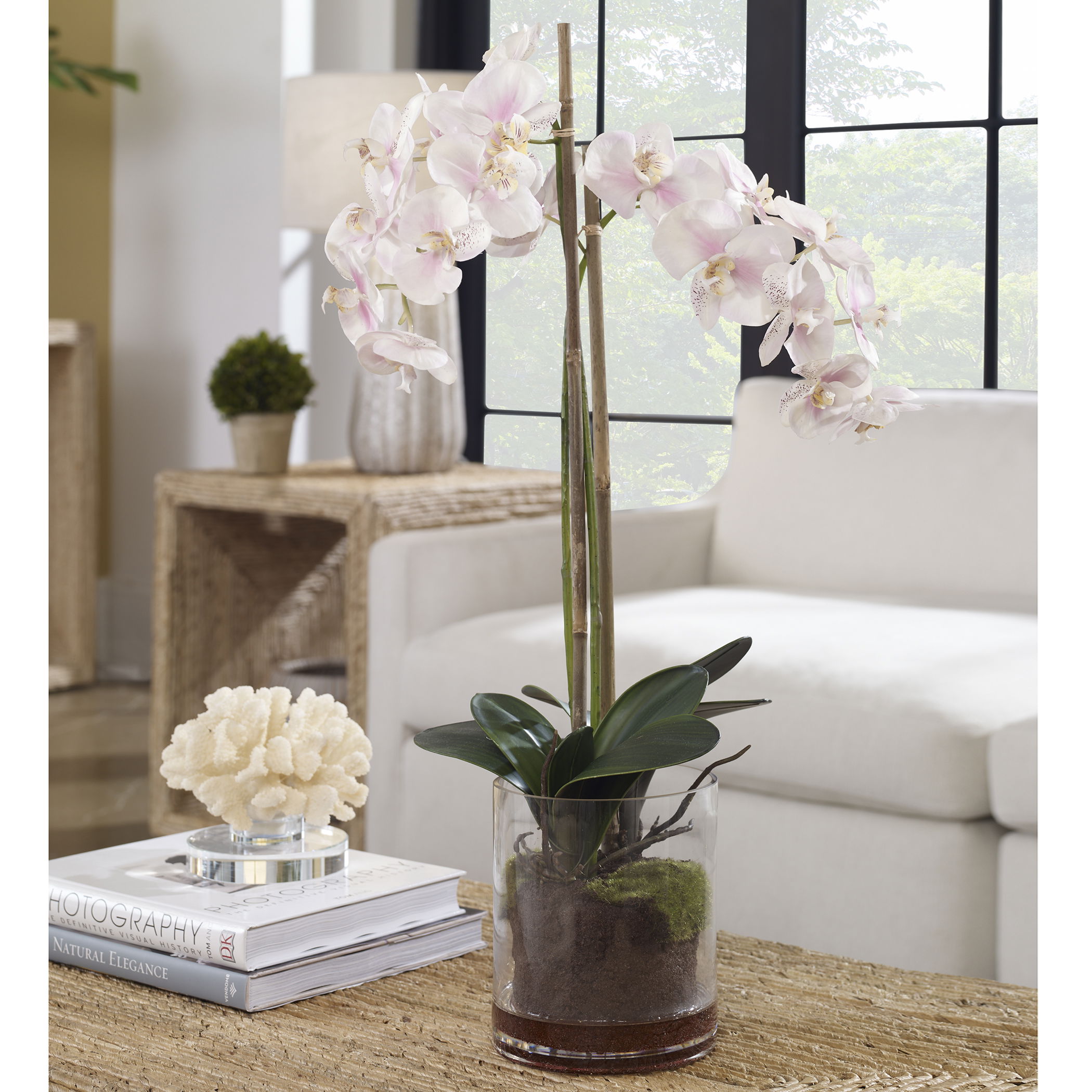 Blush Pink And White Orchid large image 