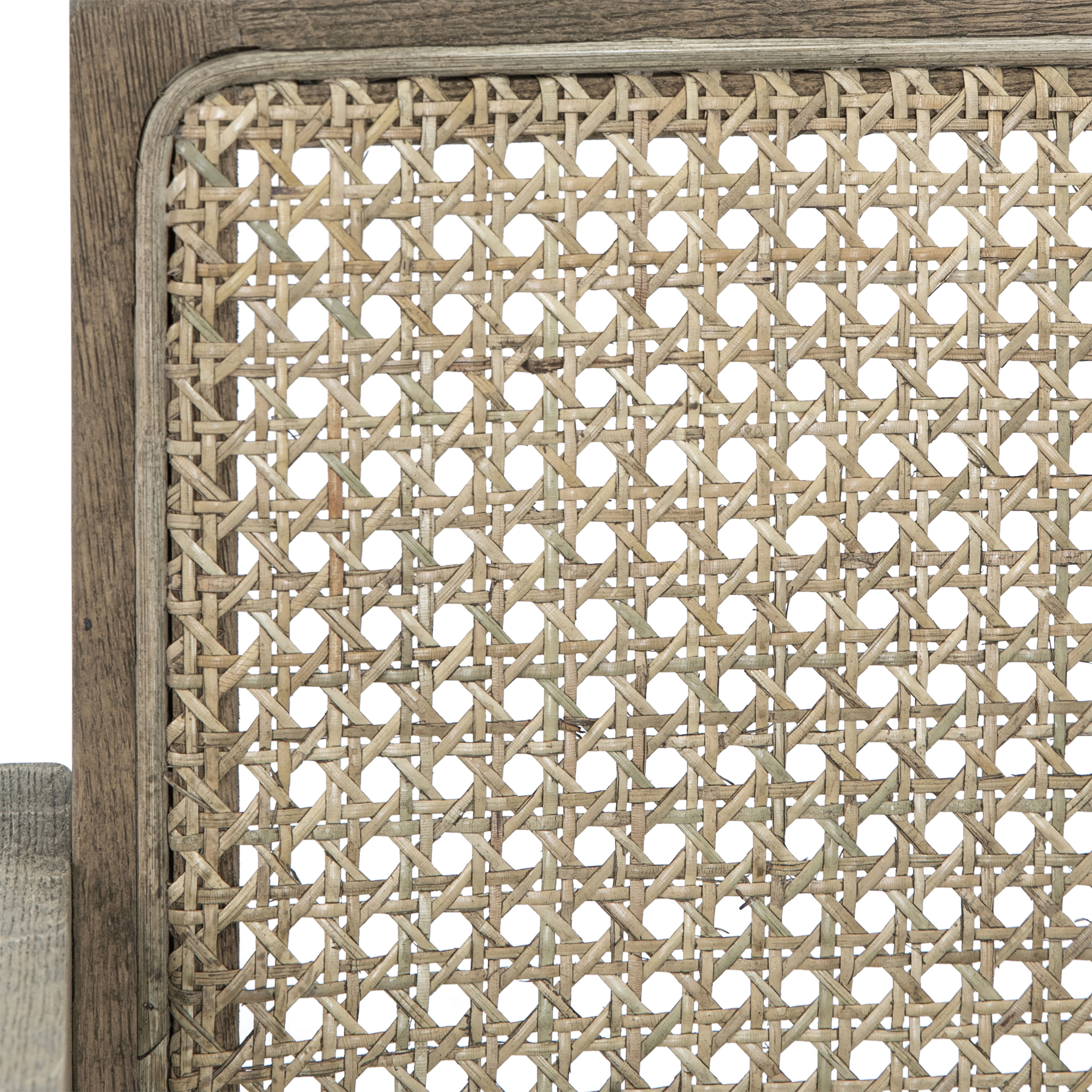 Ocampo Dining Chair, by Dovetail, 22" width x 30" height x 22" depth View 2